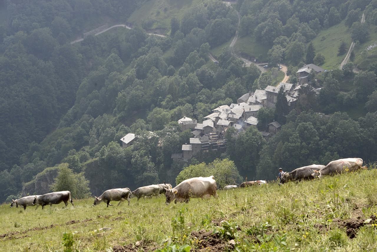 Agriturismo Valliera Διαμέρισμα Castelmagno Εξωτερικό φωτογραφία